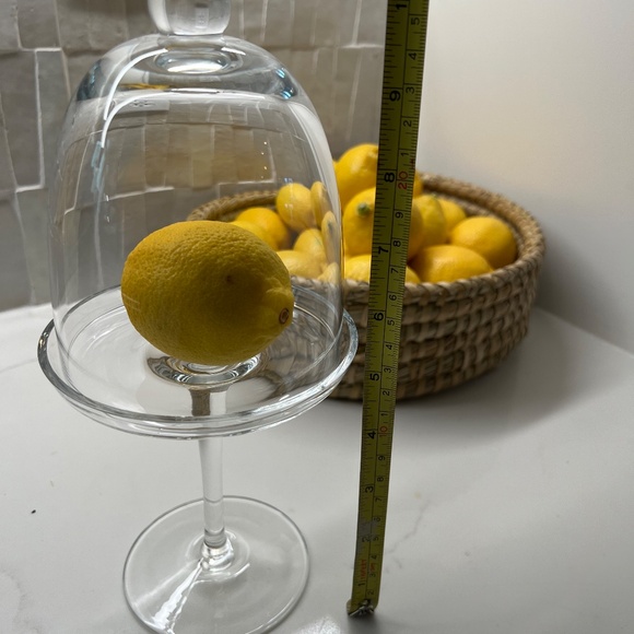 Set of 5 Stand & Dome Displays - Picture 2 of 8